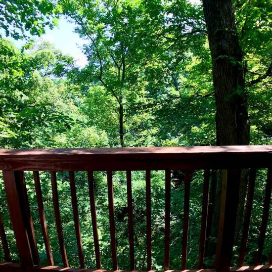 Chateau Treehouse Deck View