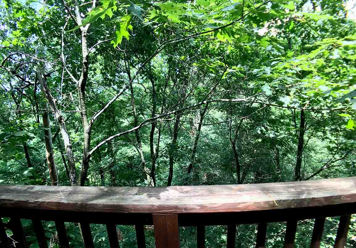 Winery Chateau Treehouse Deck View